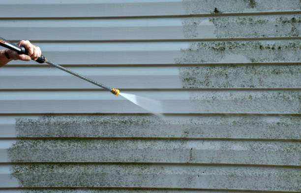 Best Toxic Mold Removal  in Hansen, ID
