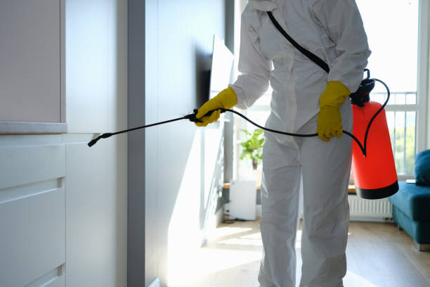 Water Damage Restoration in Hansen, ID